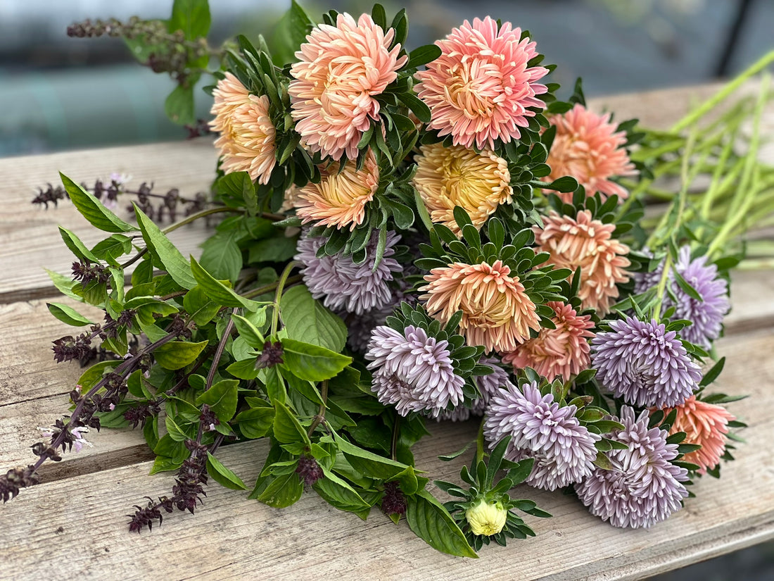 Basil for Cut Flower Arrangements: An Essential Floral Base