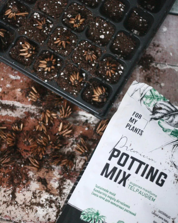 Potting Mix (7 liters)