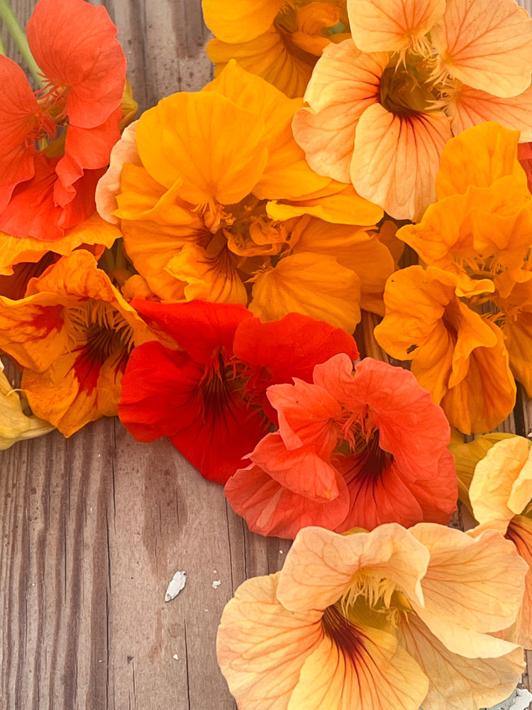 Edible Flowers – Add Color, Flavor, and Natural Beauty to Your Dishes