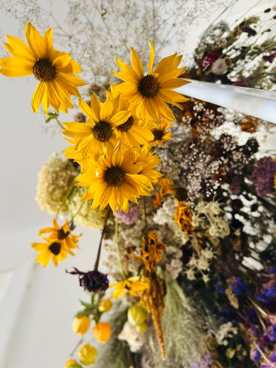 Dried flowers