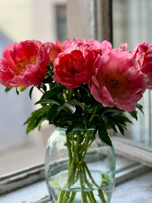Peony bouquet | Coral Charm