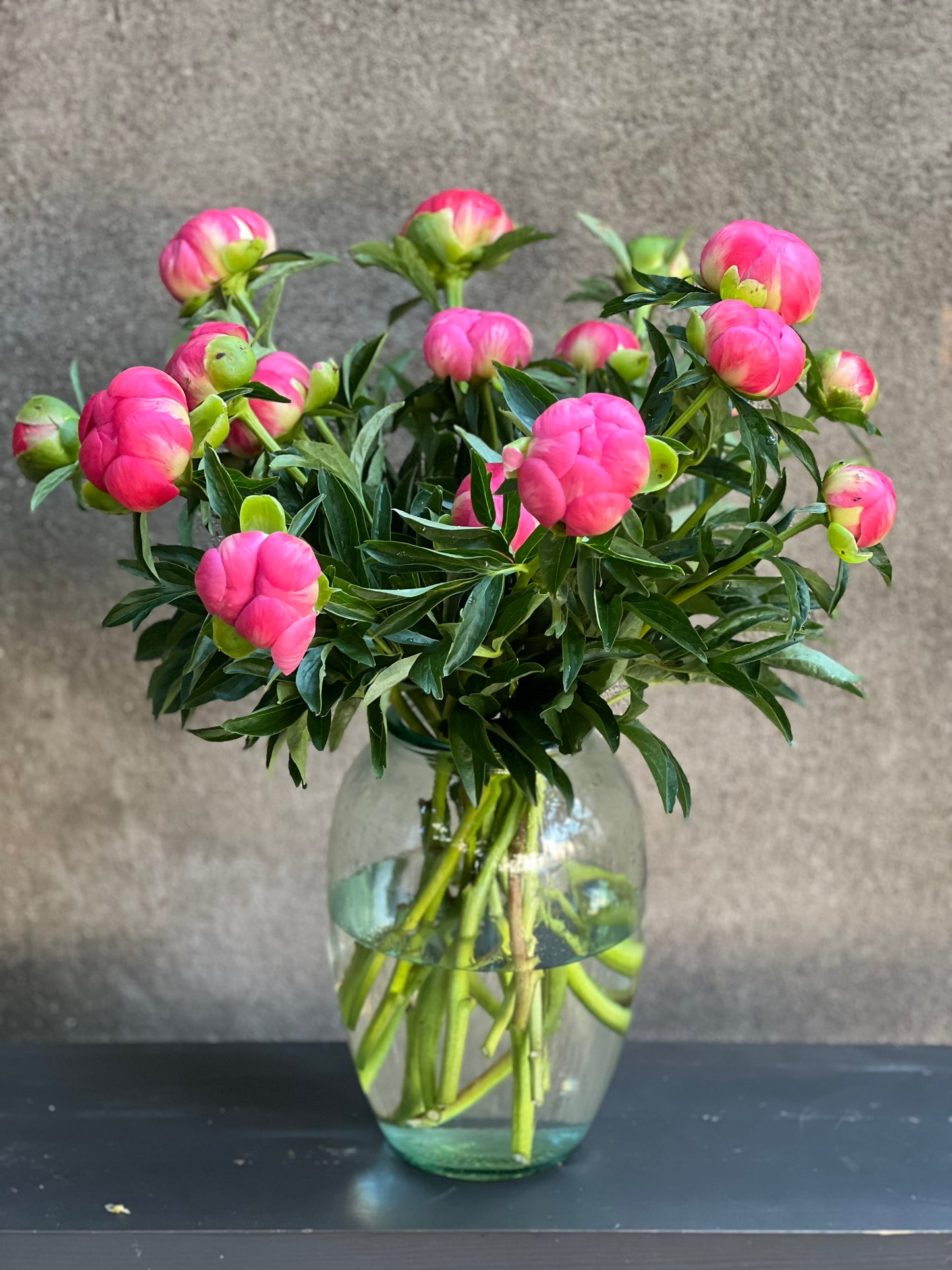 Peony bouquet | Coral Charm