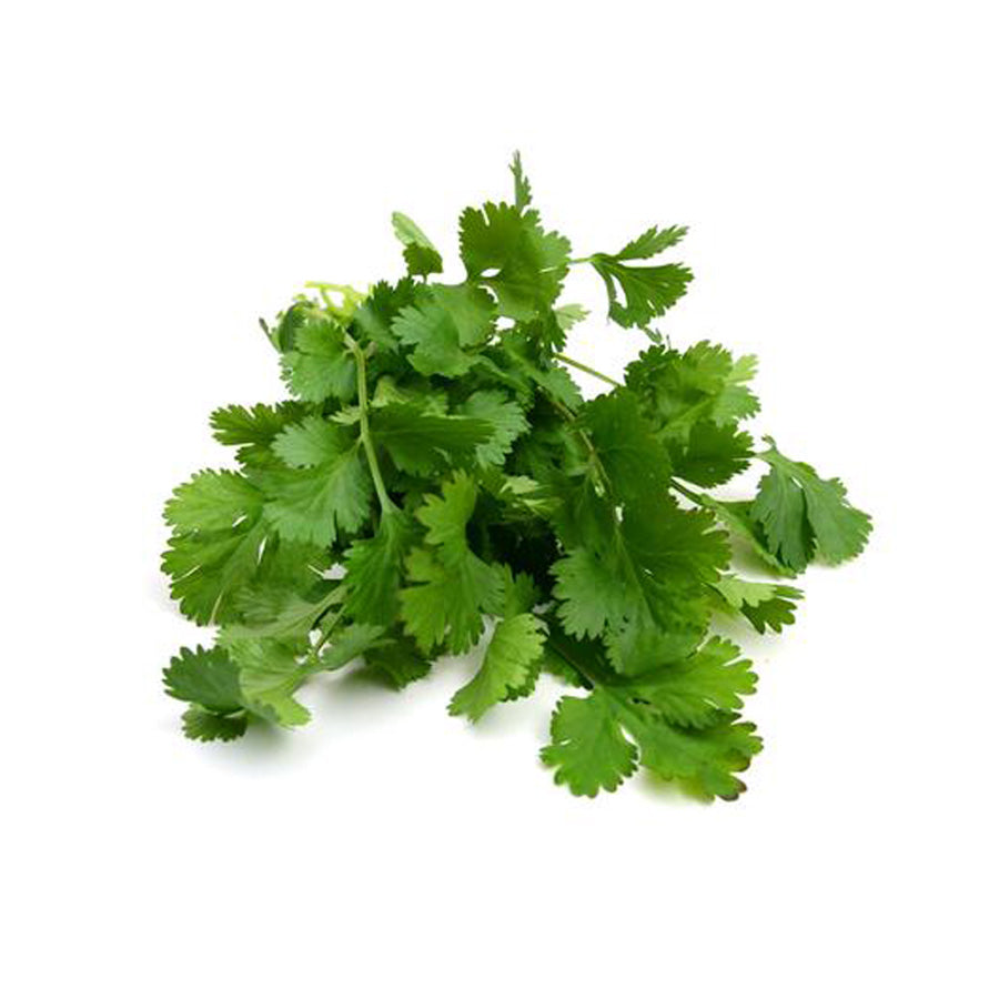 Coriander | Asian Herb