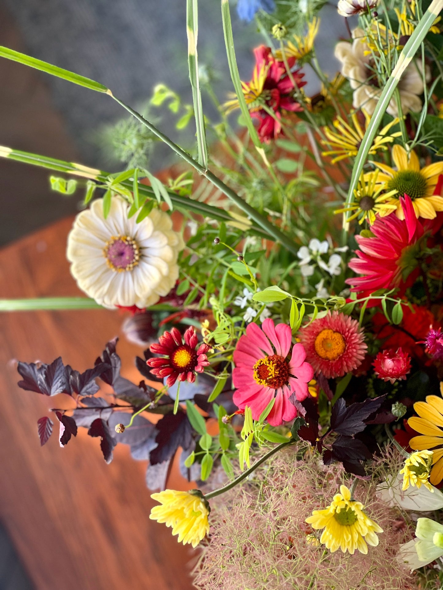 Gaillardia aristata Burgundy