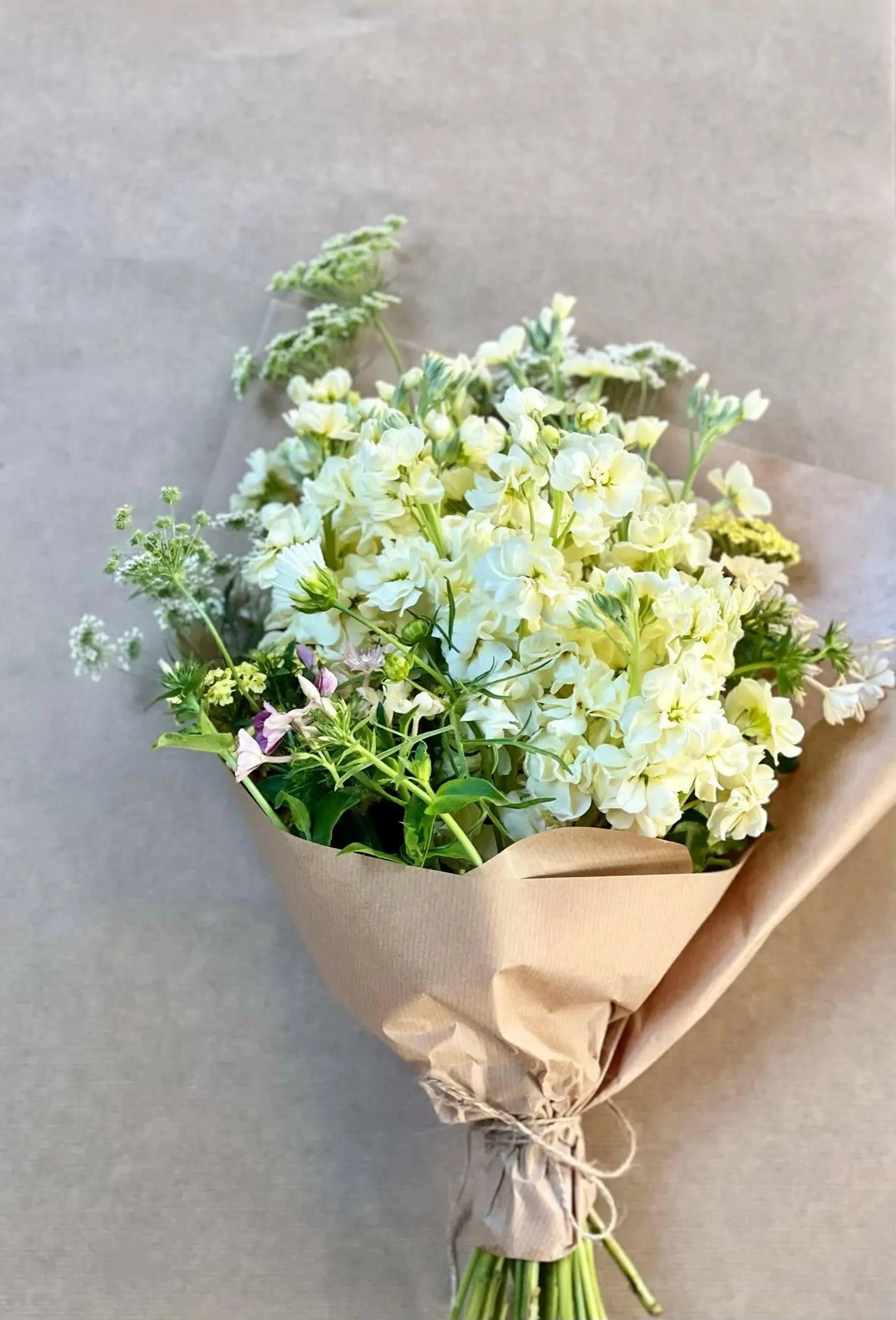 Matthiola Column Miracle Yellow.