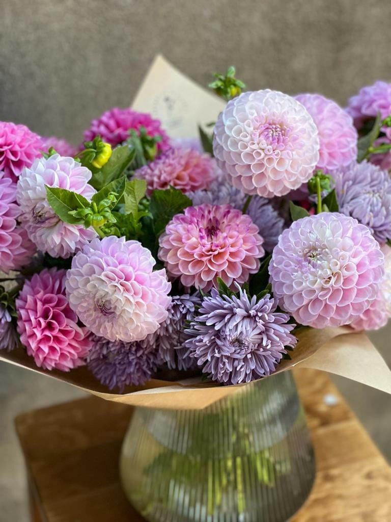 Aster Chrisantella Lilac Mist - therapyofflowers.comflowers